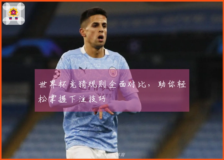 世界杯竞猜规则全面对比，助你轻松掌握下注技巧