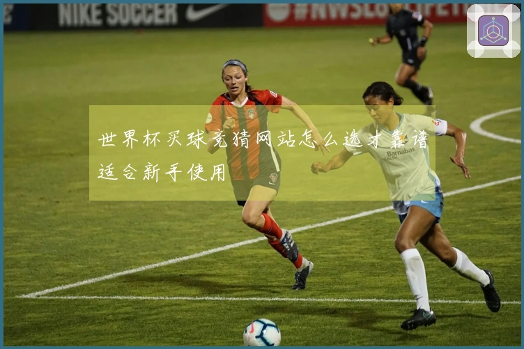 世界杯买球竞猜网站怎么选才靠谱适合新手使用