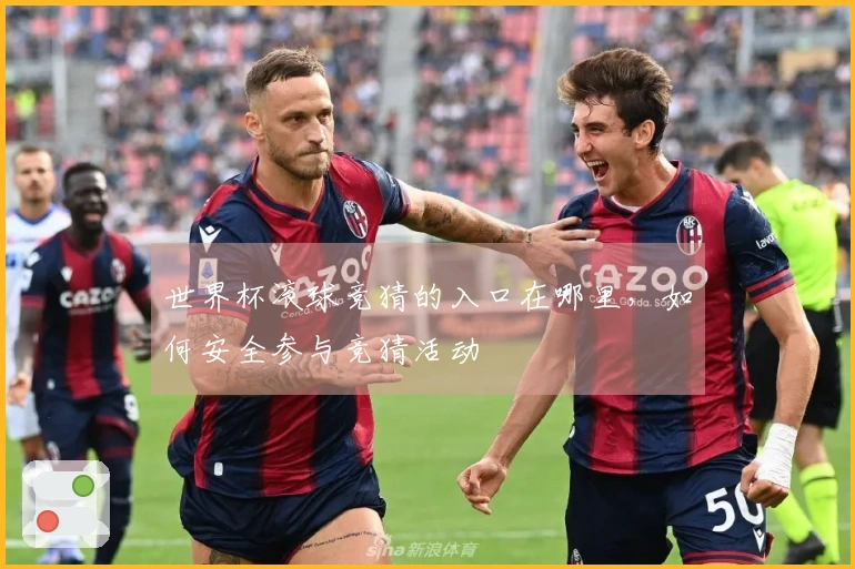 世界杯滚球竞猜的入口在哪里，如何安全参与竞猜活动