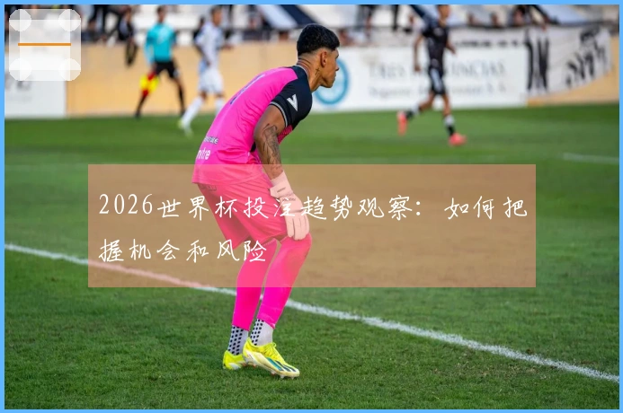 2026世界杯投注趋势观察：如何把握机会和风险